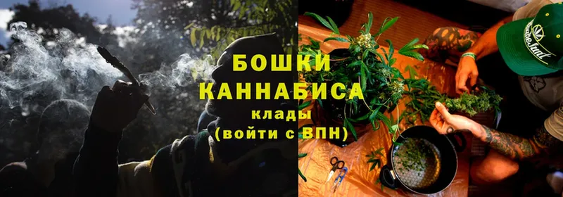 Марихуана OG Kush  Солнечногорск 